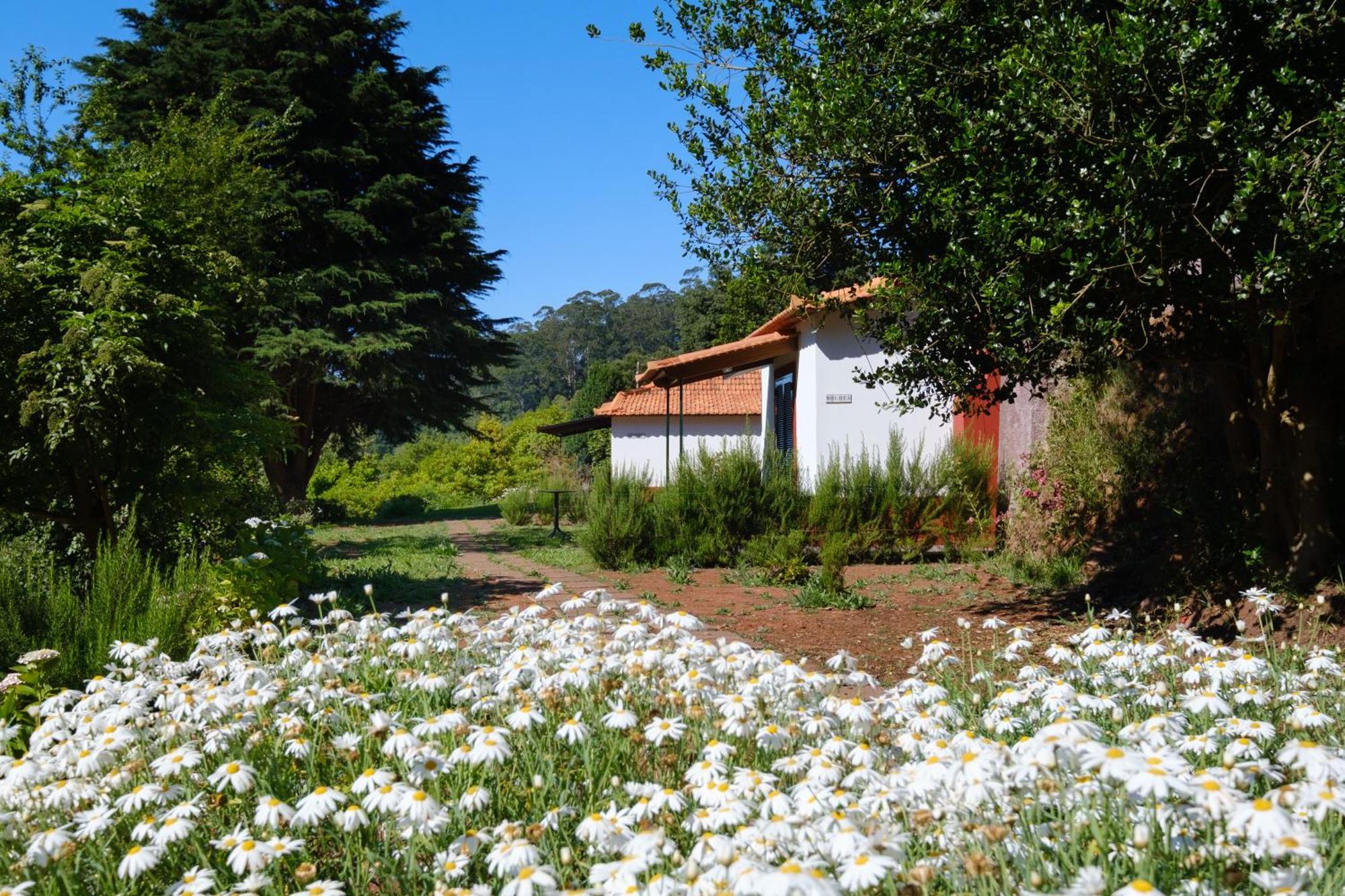 Valle Paraizo Camacha  Exterior photo