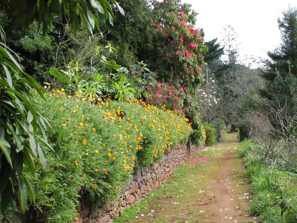 Valle Paraizo Camacha  Exterior photo